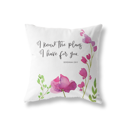 I Know the Plans pillow cover
