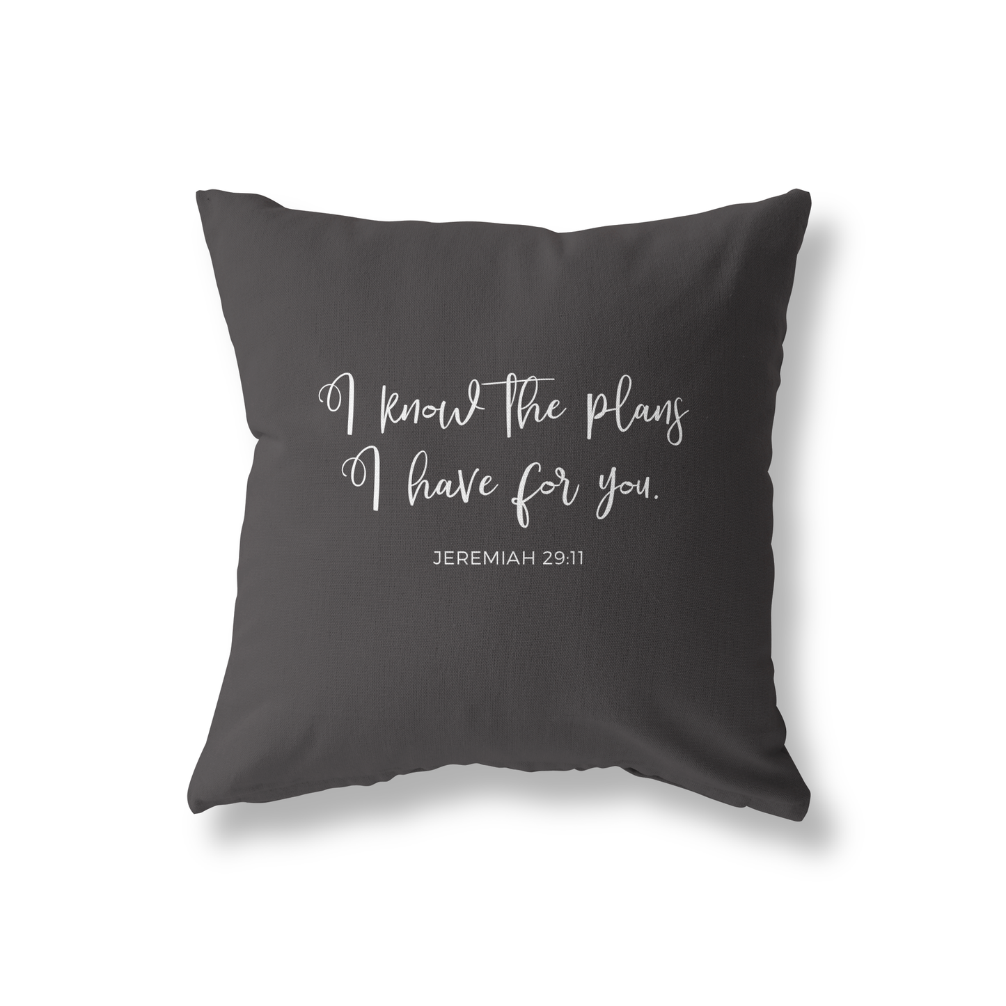 I Know the Plans pillow cover